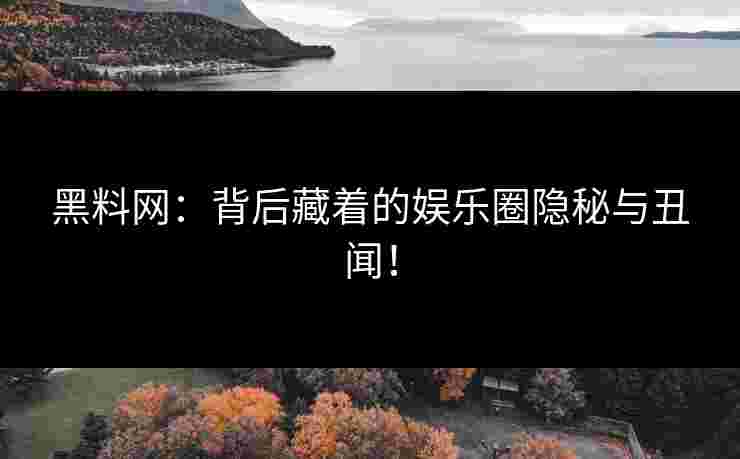黑料网：背后藏着的娱乐圈隐秘与丑闻！