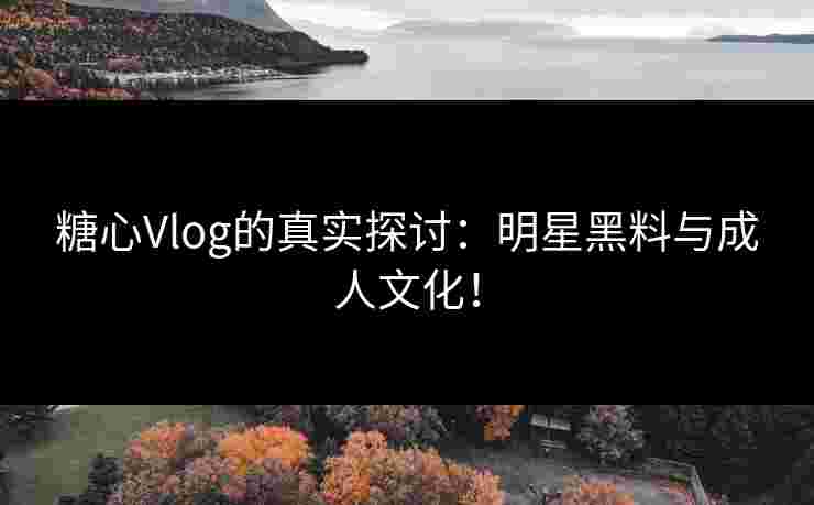 糖心Vlog的真实探讨：明星黑料与成人文化！